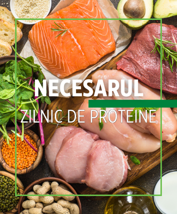 Care este necesarul zilnic de proteine – Calculator și ghid pentru masă musculară și sănătate