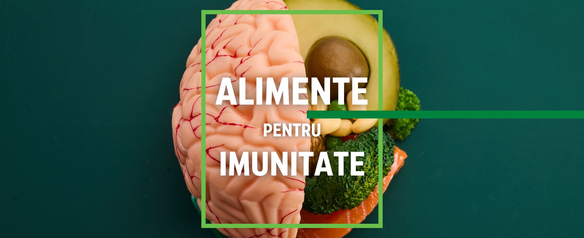 Alimente pentru creier - hrană esențială pentru sănătatea cerebrală și memorie