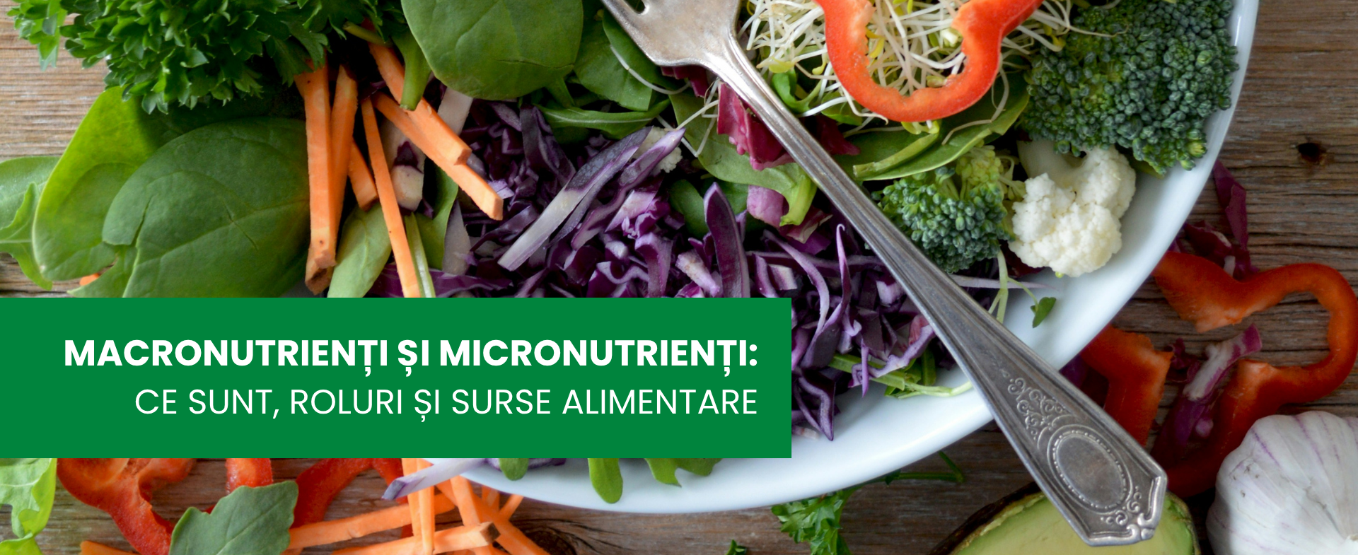 Macronutrienți și micronutrienți: ce sunt, roluri și surse alimentare