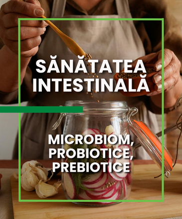 Sănătatea intestinală: microbiom, probiotice, prebiotice și surse alimentare