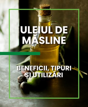 Uleiul de măsline: beneficii, tipuri și utilizări