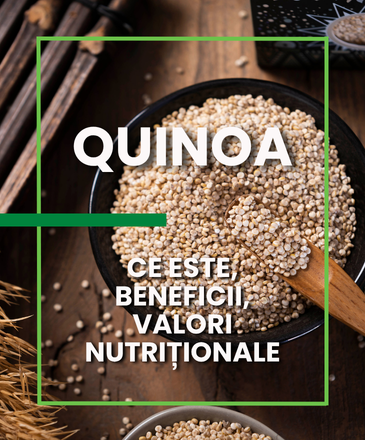 Quinoa: ce este, beneficii, valori nutriționale și cum se prepară