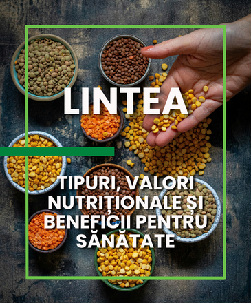 Linte: Tipuri, Valori Nutriționale și Beneficii pentru Sănătate - LifeBox
